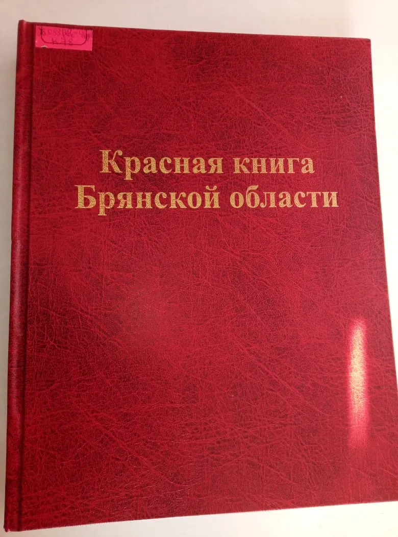животные красной книги брянской области. растения красной книги брянской области. брянская калужская орловская и тульская области. растения красной книги брянской области. книга брянского края.