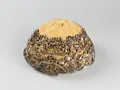 Кипа