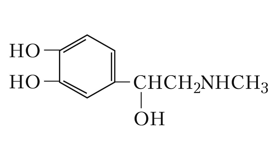 Адреналин. Большая российская энциклопедия
