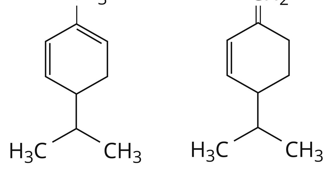 Фелландрены. Большая российская энциклопедия
