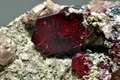 Кристаллы куприта (провинция Катанга, Конго)