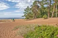 Пляж на побережье Финского залива. Сосновый Бор (Ленинградская область)