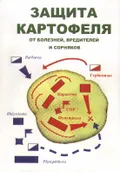Защита картофеля от болезней, вредителей и сорняков