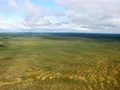 Водораздельные болота. Юганский заповедник (Ханты-Мансийский автономный округ)