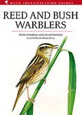 Reed and bush warblers