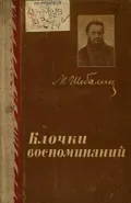 Клочки воспоминаний
