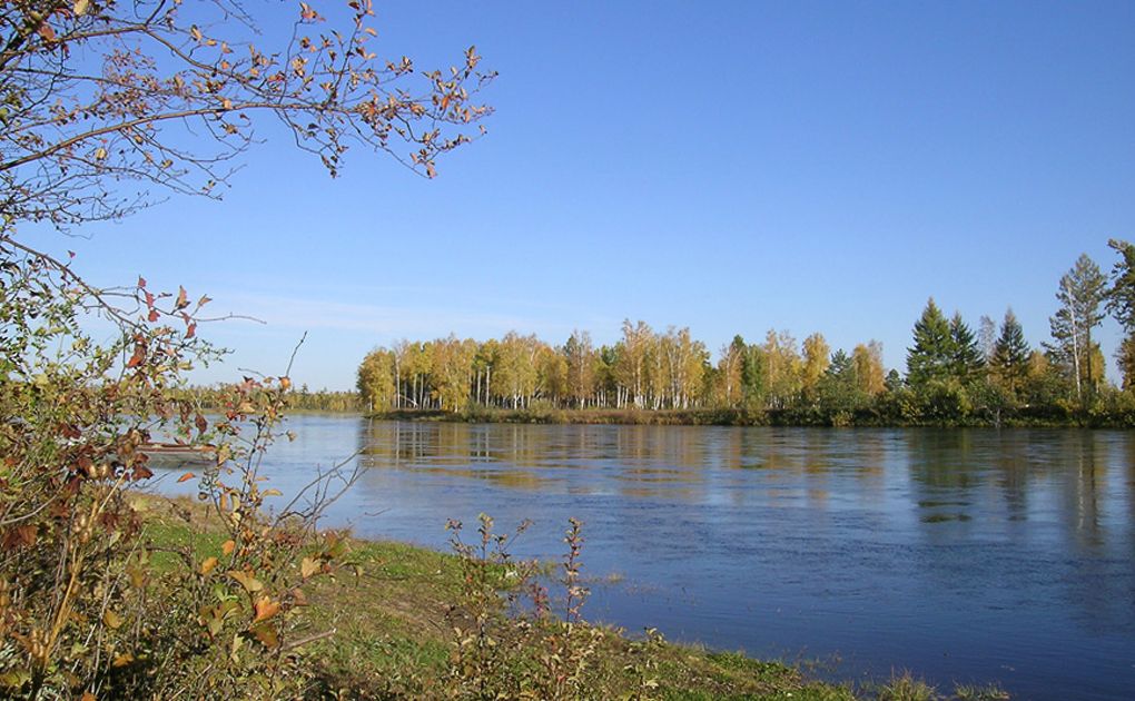 Презентация норский заповедник