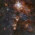 Центральная часть звёздной сверхассоциации вокруг туманности Тарантул (30 Dor) в Большом Магеллановом Облаке