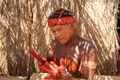 Мужчина ваура (социокультурная общность шингуано) раскрашивает себя уруку. Парк коренных народов Шингу, община Пиюлага 