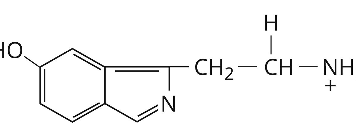 Серотонин. Большая российская энциклопедия