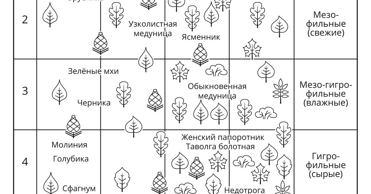 Эдафическая сетка. Большая российская энциклопедия