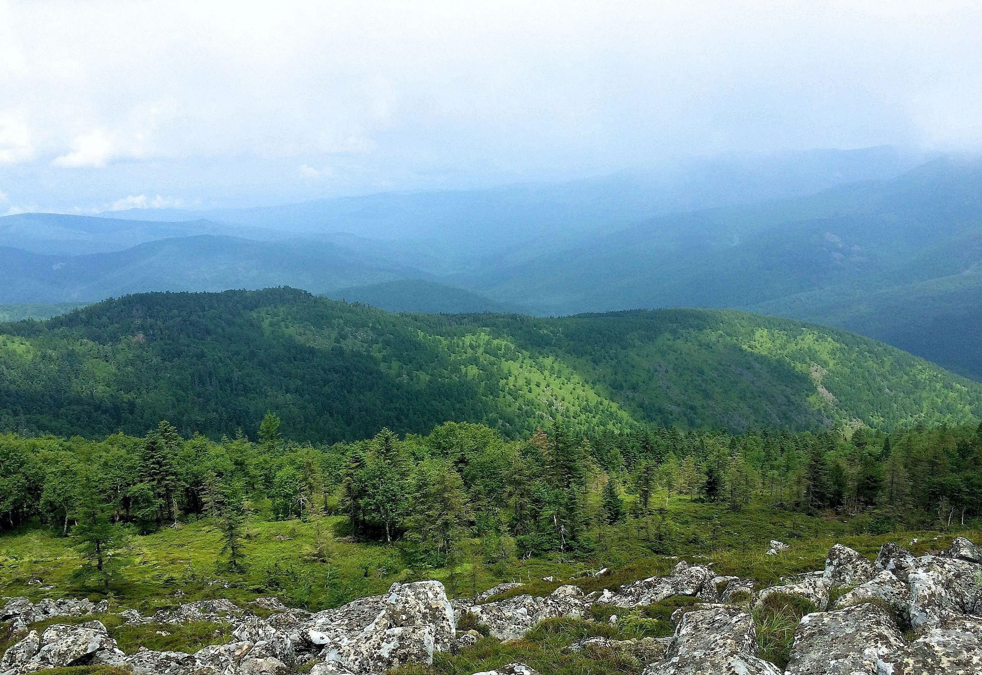 Заповедник бастак фото