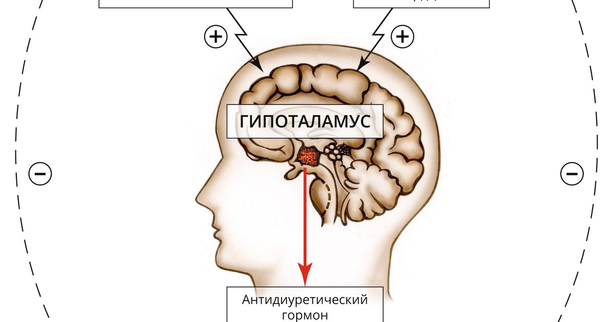 Вазопрессин. Большая российская энциклопедия