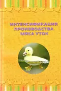 Интенсификация производства мяса уток