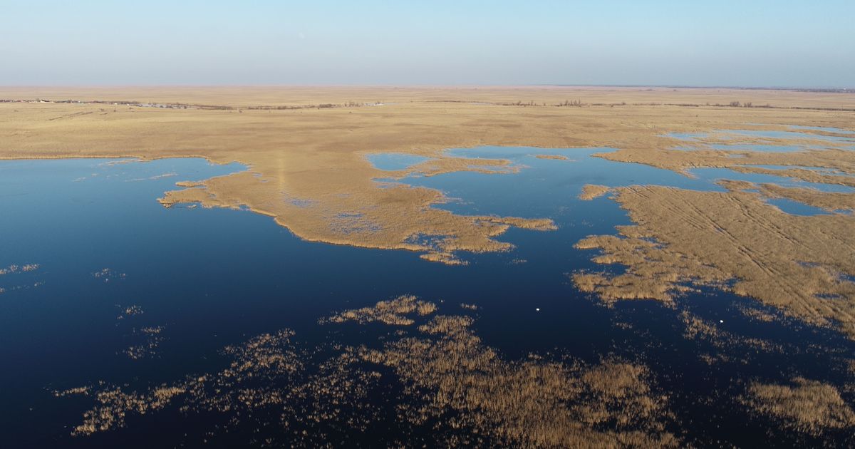 Кубано-Приазовская низменность. Большая российская энциклопедия