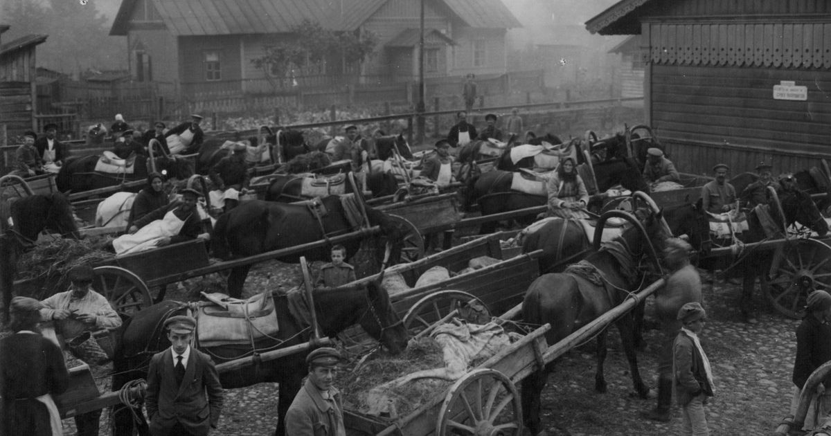 Продналог. Большая российская энциклопедия