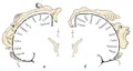 Представительство сенсорных функций в задней центральной извилине коры больших полушарий (а) и двигательных функций в передней центральной извилине (б).