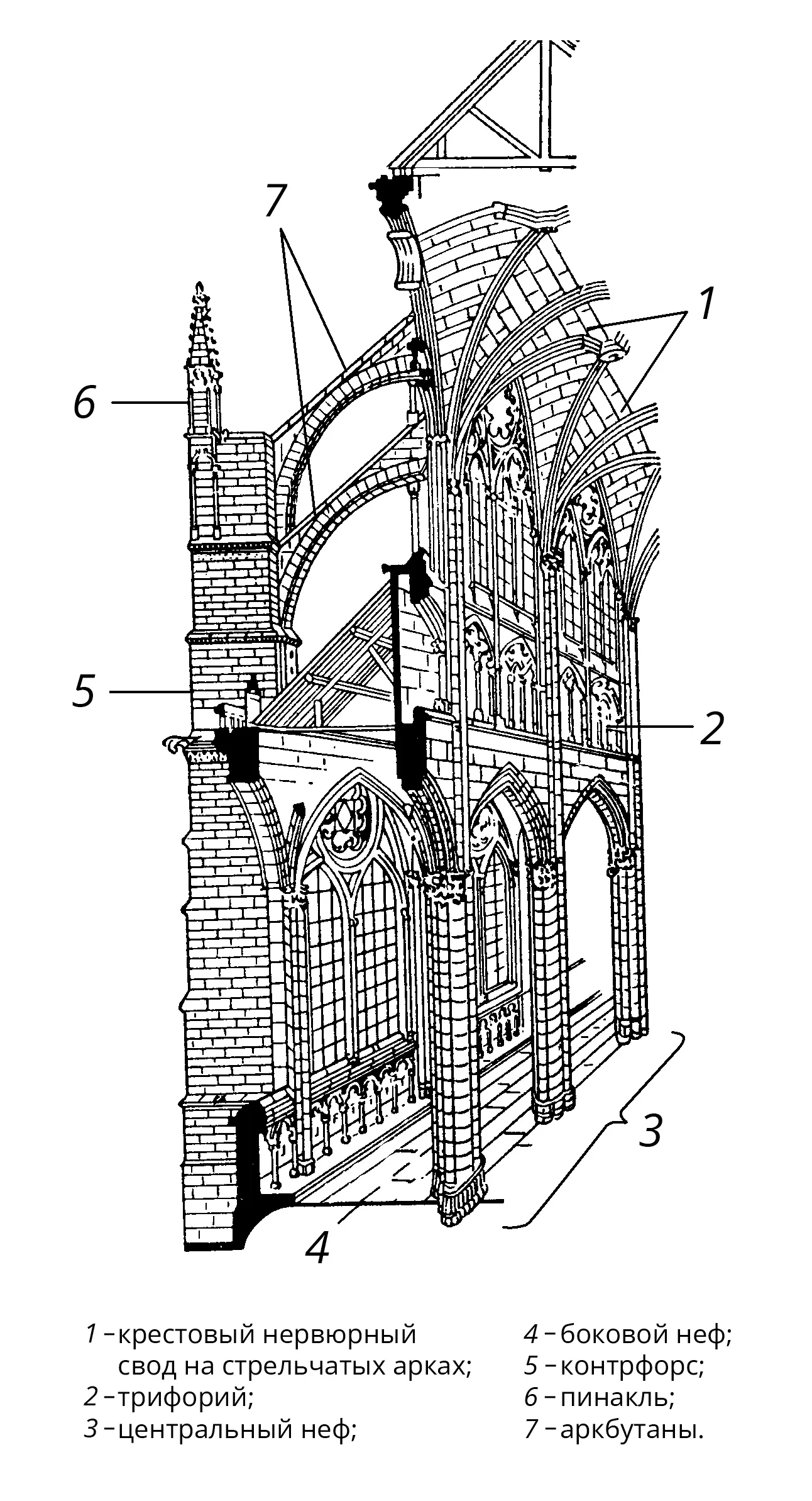 Схема готического храма в разрезе
