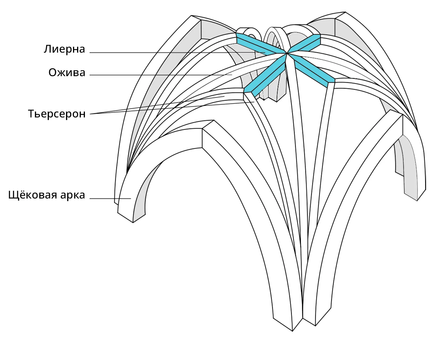 Готические своды схемы