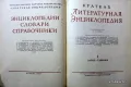 Краткая литературная энциклопедия
