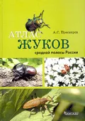 Атлас жуков средней полосы России
