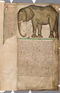 Слон, подаренный королём Франции Людовиком IX королю Англии Генриху III. Миниатюра из рукописи Матвея Парижского «Истор