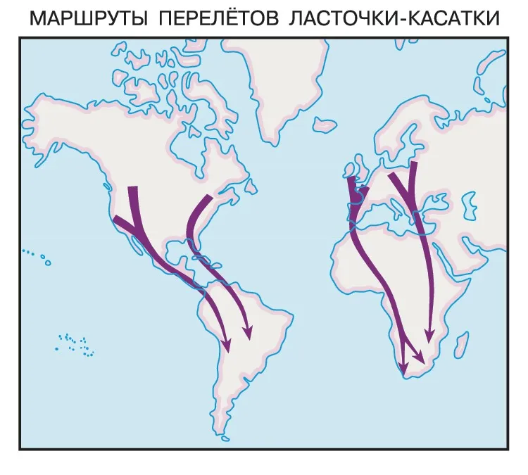 Карта миграции скворцов