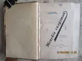 Женские силуэты