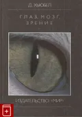 Глаз, мозг, зрение