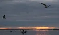 Заславское водохранилище (Белоруссия)