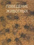 Поведение животных
