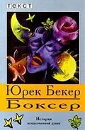 Боксёр