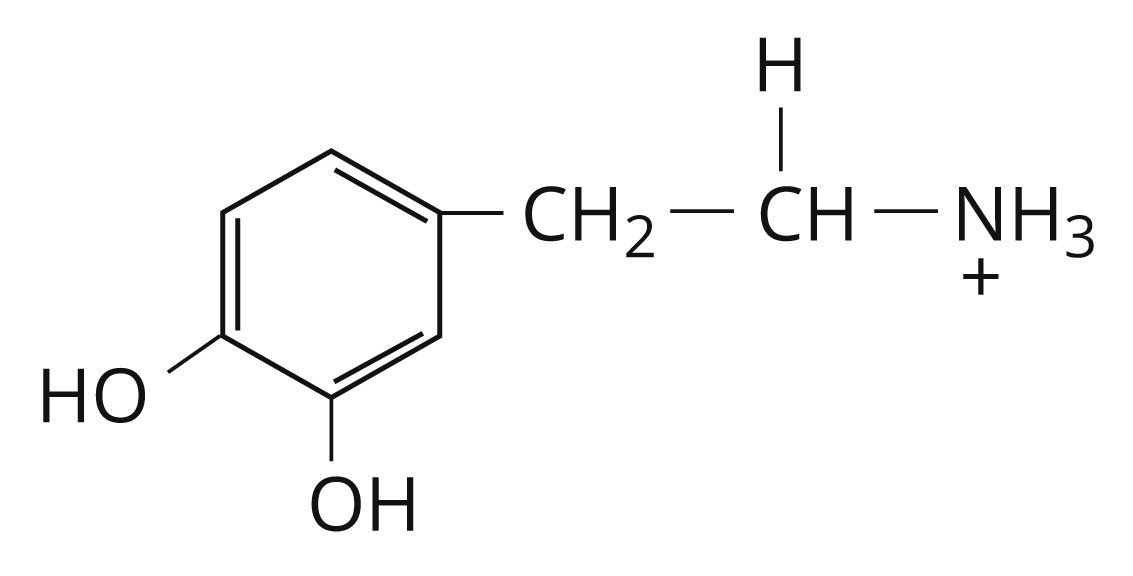 Дофамин формула картинка