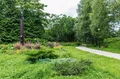 Дендрологический сад имени С. Ф. Харитонова, Национальный парк «Плещеево озеро» (Ярославская область)