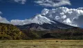 Вулкан Котопахи, Северные Анды (Эквадор)