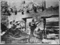 Германские стрелки ведут огонь из разрушенного здания. 1914–1916