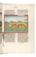 Людвиг Хенфлин. Даниил во рву львином.  Миниатюра из Библии. 1477