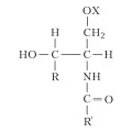 Общая формула сфинголипидов