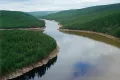 Река Алдан в зелени лесов (Якутия, Россия)