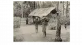 Маринд-аним. Женщины с хворостом. провинция Папуа, Индонезия. 1953–1954