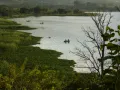Побережье озера Валенсия (Венесуэла)