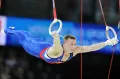 Денис Аблязин во время выступления на Чемпионате Европы по спортивной гимнастике. Франция. 2012