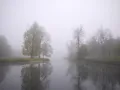 Туман (г. Пушкин, Санкт-Петербург, Россия)