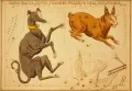 Сидни Холл. Изображение Большого Пса, Зайца и Голубя из набора «Зеркало Урании»