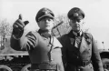 Генерал Йозеф Дитрих и генерал-фельдмаршал Герд фон Рундштедт наблюдают за манёврами 12-й танковой дивизии СС «Гитлерюгенд»