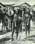 Капауку. Глава одной из групп во время диспута. Провинция Центральное Папуа, Индонезия. 1970-е гг.