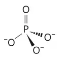 Структурная формула фосфат-аниона