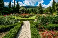 Никитский ботанический сад. Ялта (Республика Крым)