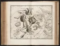 Созвездие Геркулес в «Уранографии» Яна Гевелия