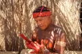 Мужчина ваура (социокультурная общность шингуано) раскрашивает себя уруку. Парк коренных народов Шингу, община Пиюлага (Бразилия). 2013